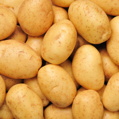 The Lost Potato