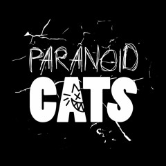 Paranoid Cats