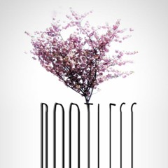 ROOTLESS