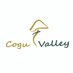 CoguValley