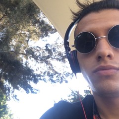 Hofmann Project (ॐ)