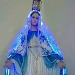 Dolores Jiménez
