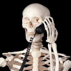 skeledon