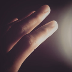 The Nocturnal Journey