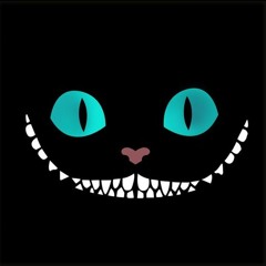 GATO MESTRE