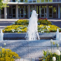 This Week at Law School