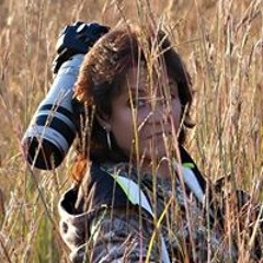 Kim Sinclair Carlson