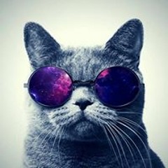 Денис Ткаченко