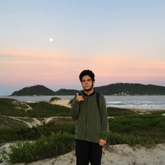 Daniel Motta Teixeira