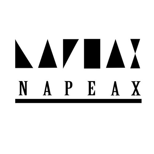 NAPEAX’s avatar
