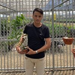 Ba Của An Di