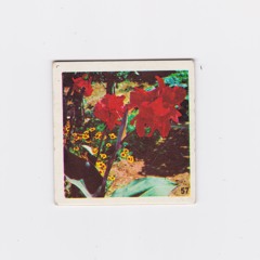 Martin Emil Daa Funder