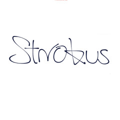 Strokus71