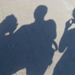 diejungen