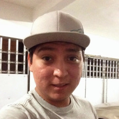 Aldher Vargas