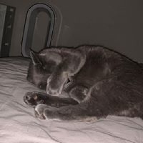 Stream 八代天絃 Music Listen To Songs Albums Playlists For Free On Soundcloud