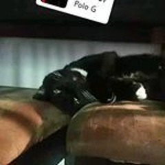 𝔸𝕟𝕘𝕖𝕝𝕒