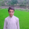 WALEED TARANI
