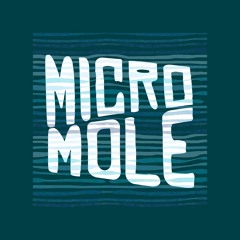 MICROMOLE