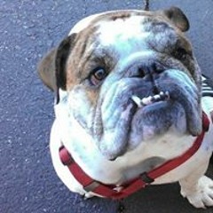 Chubbsanold Hollatonson