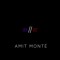 Amit Monte