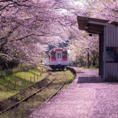namirai