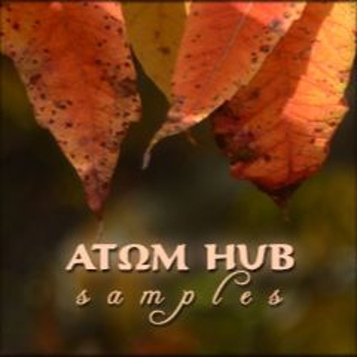 Atom Hub’s avatar