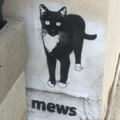 MewMiiu