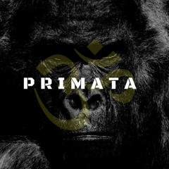 DjSet 1.0 Primata - Prévia