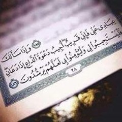 عامر