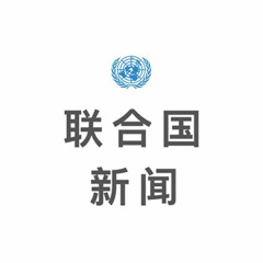 联合国新闻