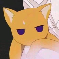 Fuzzie Neko