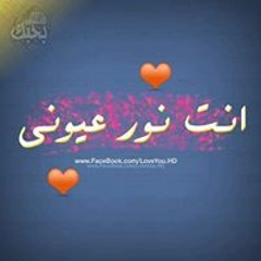 bosy