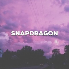 Snapdragon