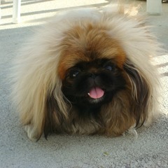 Five Seconds to Jail