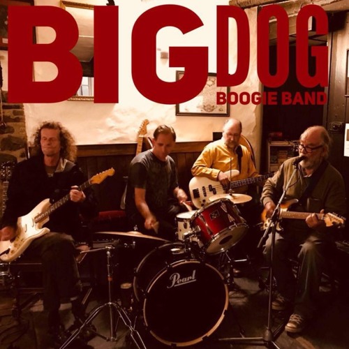 Stream The Big Dog Boogie Band music Listen to songs, albums