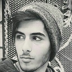 alireza majidi