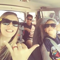 amazing dolphins dolphins