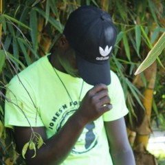 AFRO EAST MIXTAPE VDJ CRASH 254 FT RAYVANNY,HARMONIZE,ZUCHU