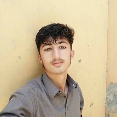 Mohammad Irfan Stanikzai