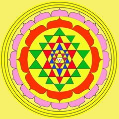 Tripp Young Greatness