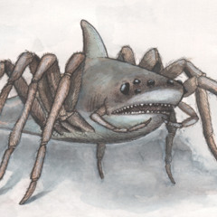 Spider Shark