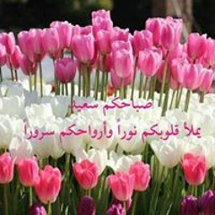 اغنية اه منك ياغالي بتمشي في خيالي حسن ابو علي  بشكل جديد 2019 ❤.mp3