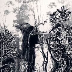 Bees and Enormous Tigers