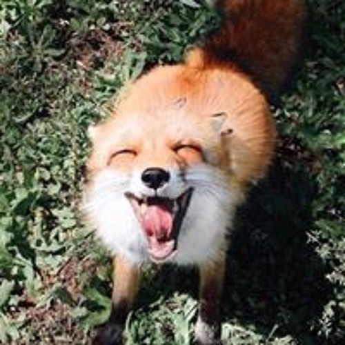 Theater Of A Witch Mahou Shoujo Madoka Magica Movie 3 Rebellion OST Homulilly Theme By Kajiura Yuki