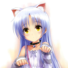 DJ Anim