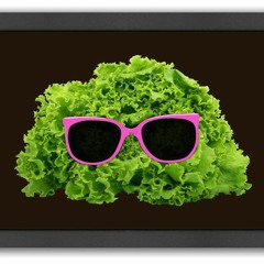 dj salata