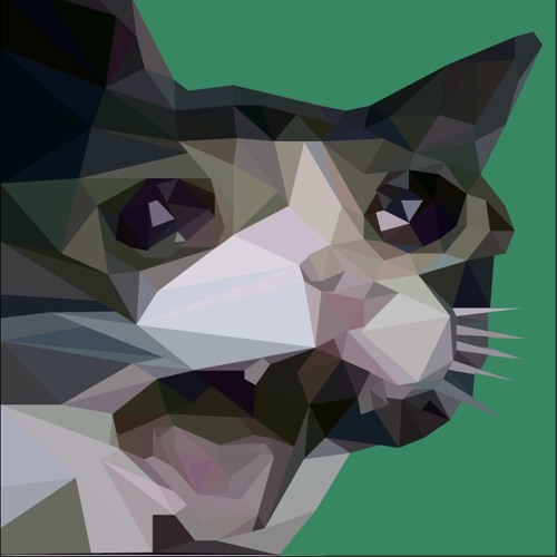 sad catto’s avatar