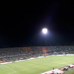 alex1205