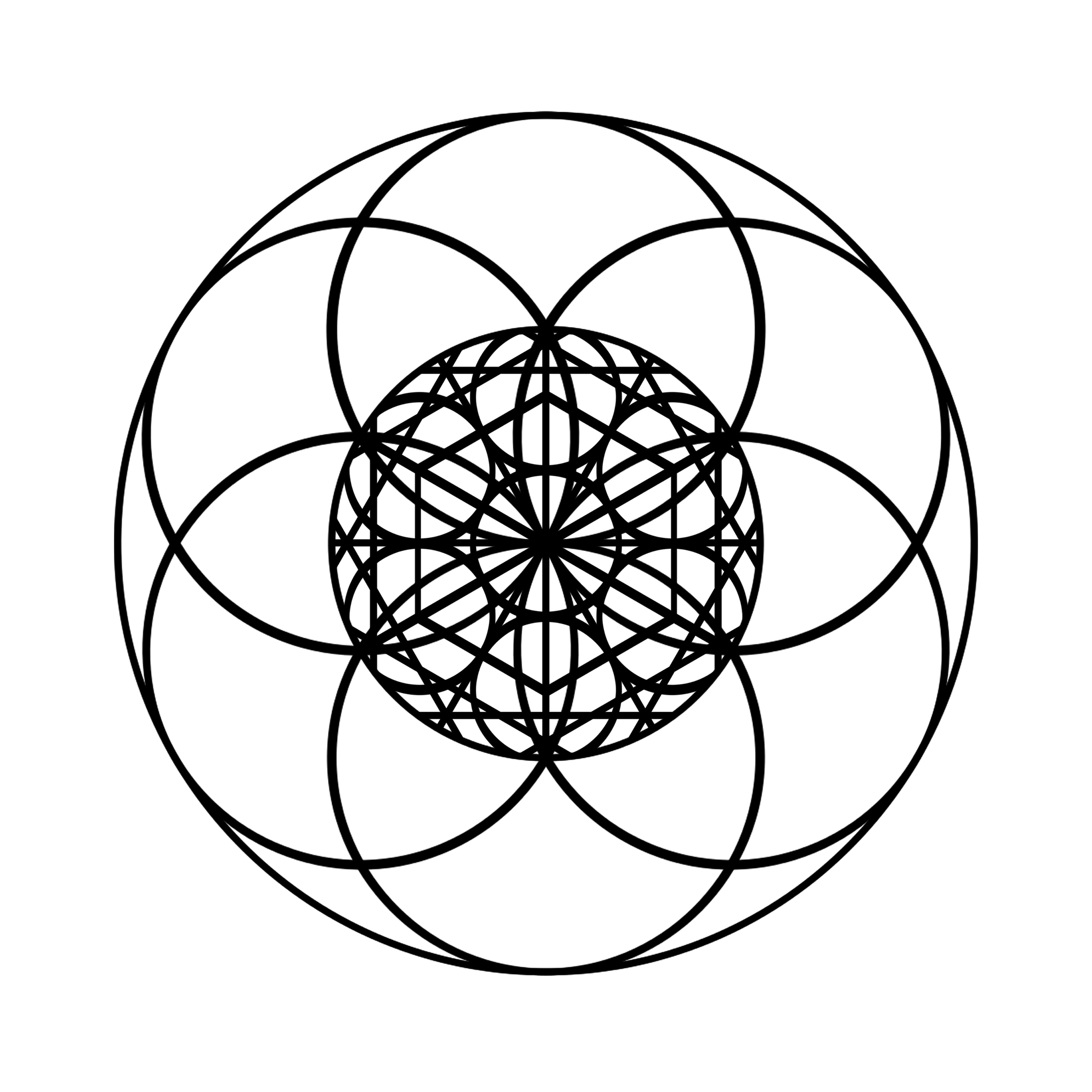 Geomevtrix